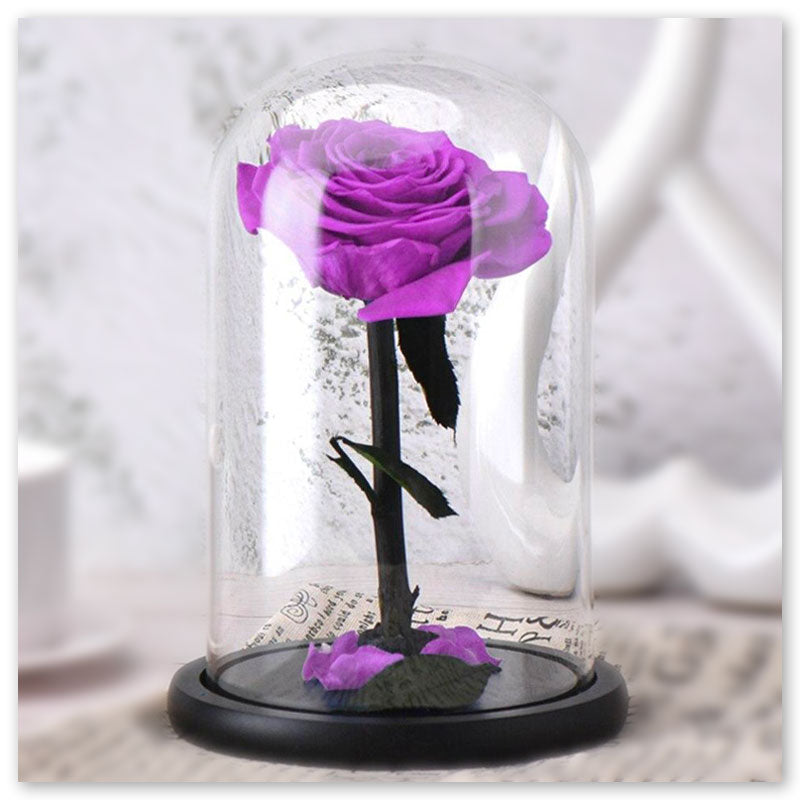 Rose Éternelle Violette sous Cloche | Fleurs Roses