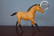 Load image into Gallery viewer, Action American Buckskin Stock Horse Foal-Action Stock Horse Foal Mold-Breyer Traditional