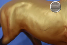 Load image into Gallery viewer, TRU Horse Of A Different Color-Pacer Mold-Toys R Us Exclusive-Breyer Traditional
