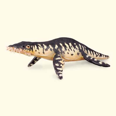 Liopleurodon-#88237-CollectA
