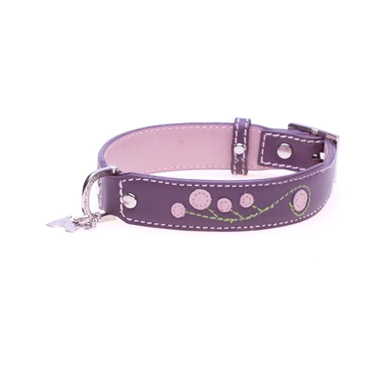 hamish mcbeth dog collar