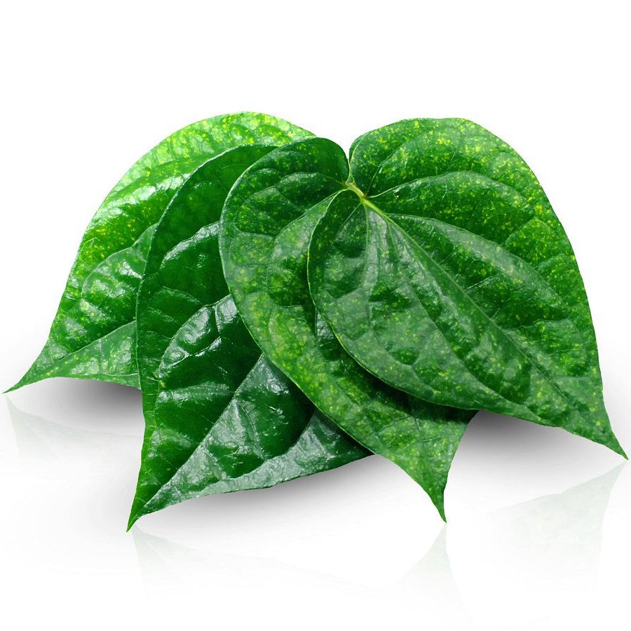 Betel Leaves – Pookadai Florist Toronto