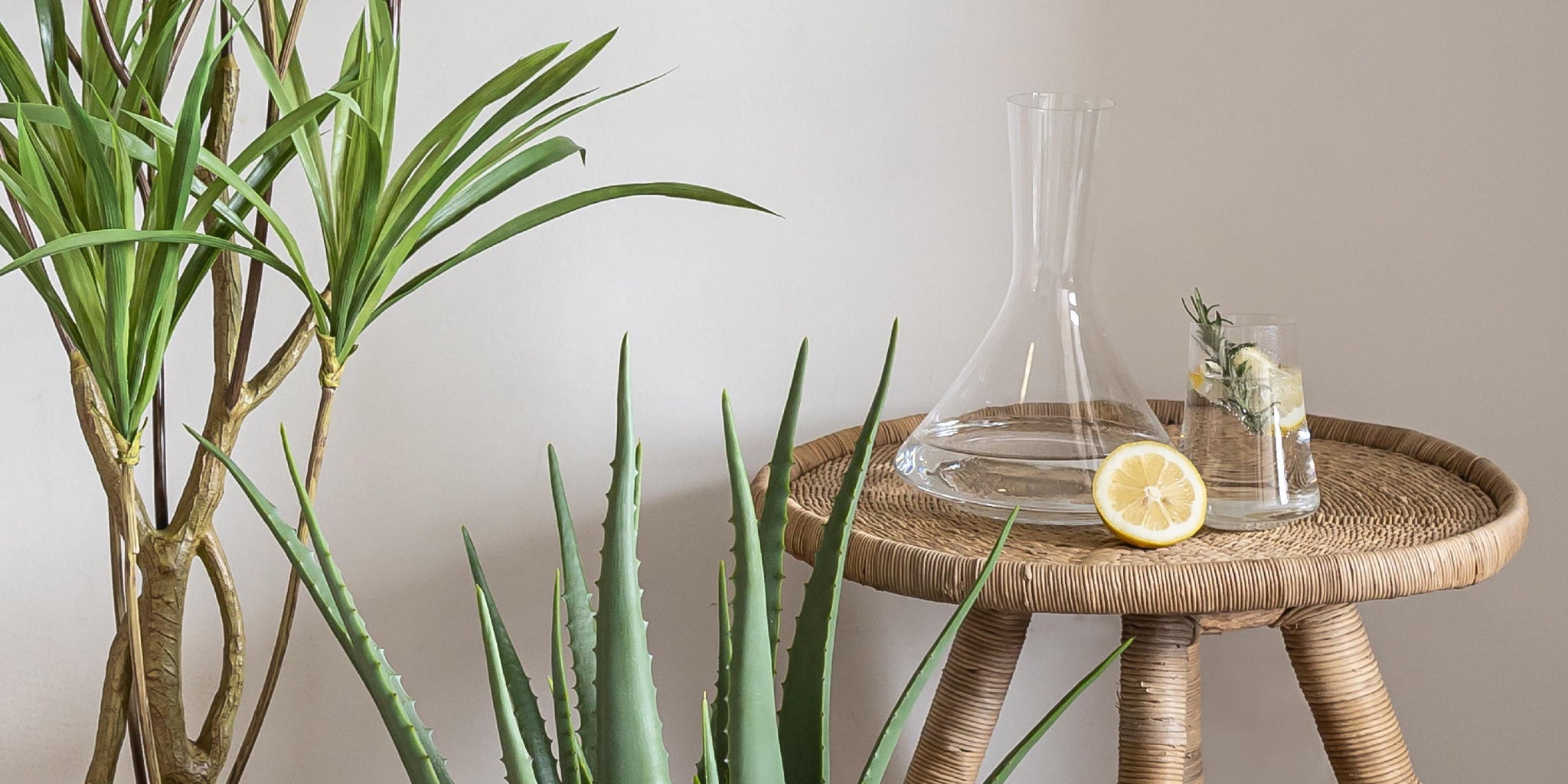 Artificial plants with a rattan side table