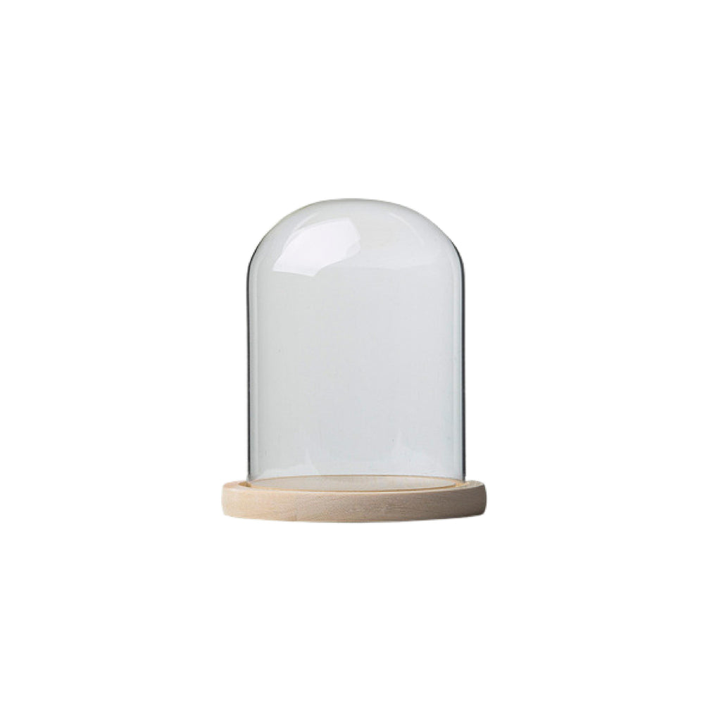 Glass Dome With Pine Base Shop Homeware Home D Cor Online The   Glass Dome With Pine Base 15x20cm 1024x1024 