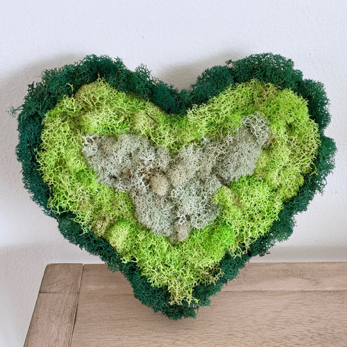 Moss Wall Art Workshops – Outside In