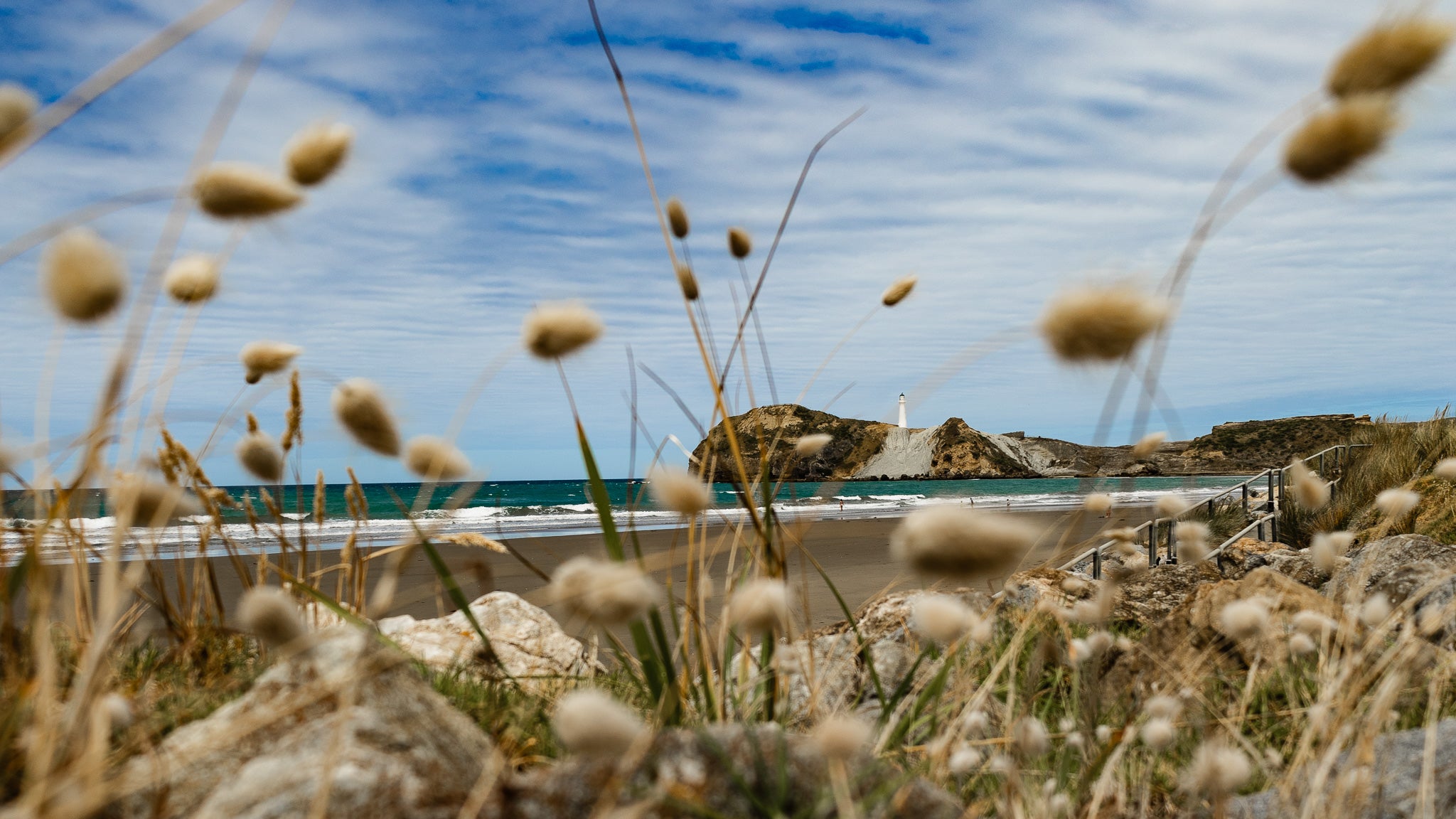 Castlepoint, Wairarapa - view from path