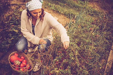 Start your Spring Garden this Fall, Clean out your garden beds