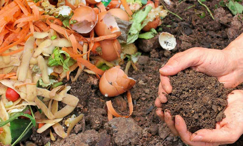 A gardener confirms the quality of garden compost