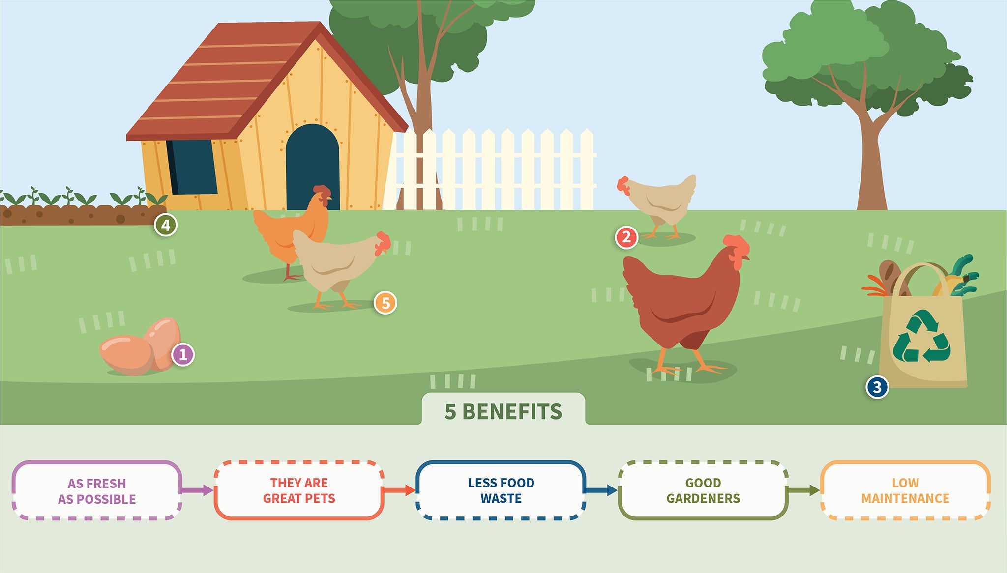 Five Benefits of Raising Backyard Chickens