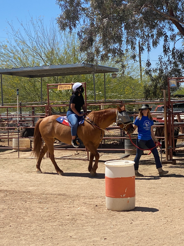 Young girl gets to ride a horse at a ranch