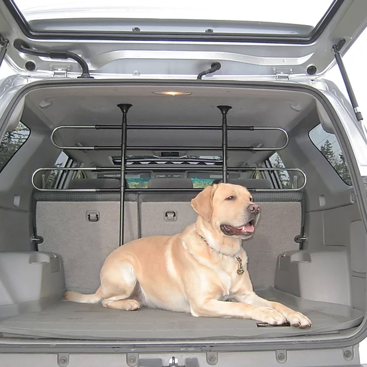 pet safety barrier vehicle