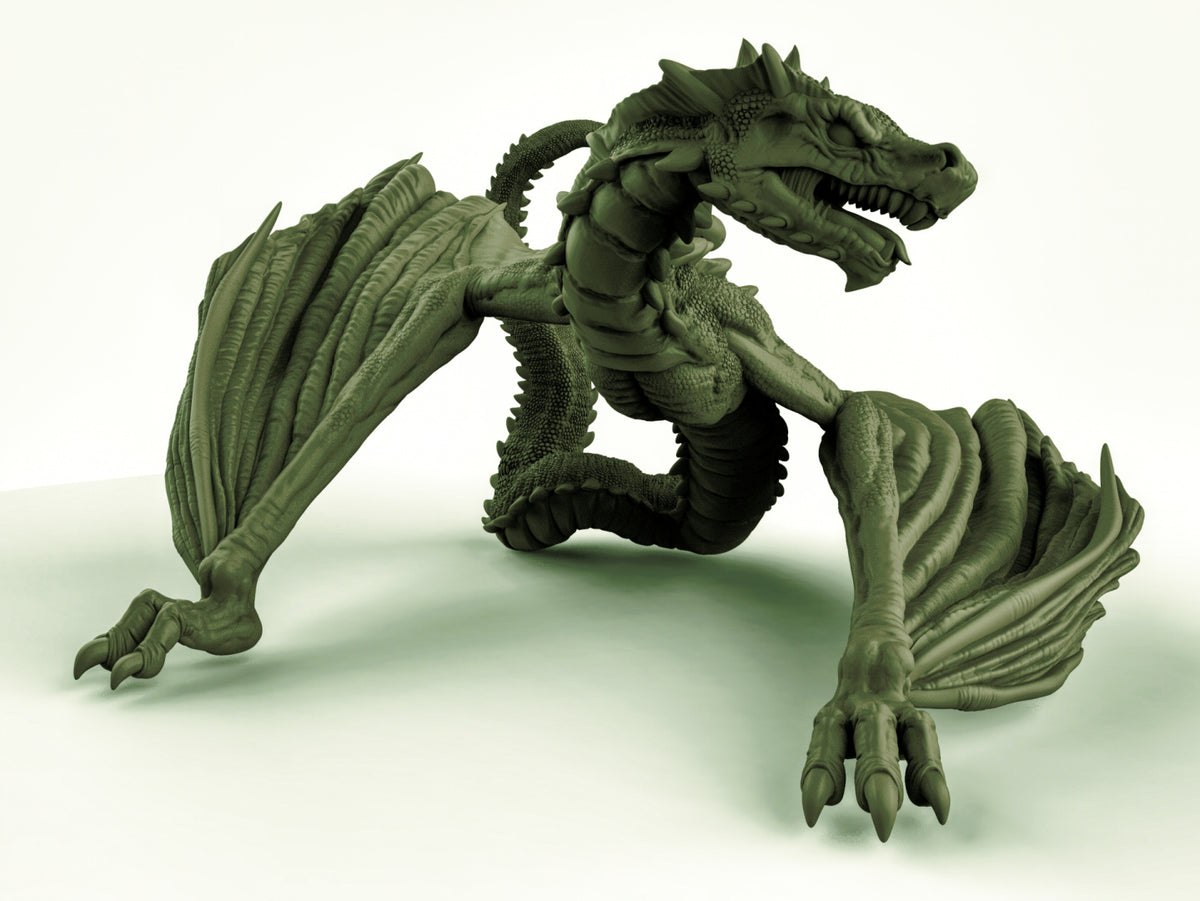 Amphiptere Dragon Resin Models for Dungeons & Dragons & Board RPGs