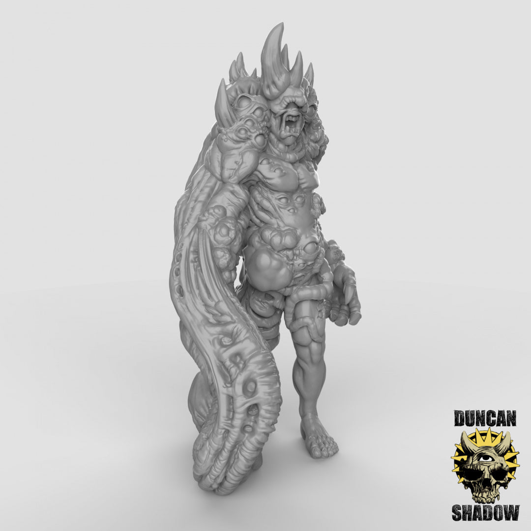 Argus Resin 3D Model for Dungeons & Dragons & Board RPGs