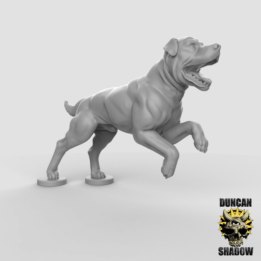 Dogs Resin Models for Dungeons & Dragons & Board RPGs