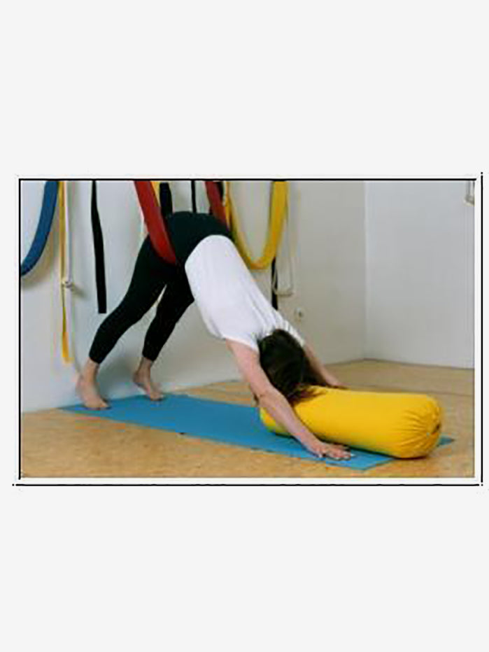 Yoga Wall Pelvic Swing. Pelvic Swing. Wall Belts. Yoga Wall Belts Set. Yoga  Ropes 