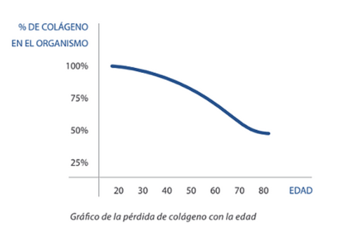 Colágeno en el organismo