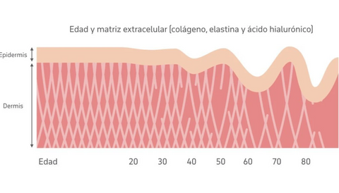 perdida de colágeno con los años