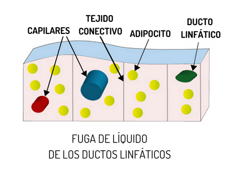 COMIENZO DE LA CELULITIS