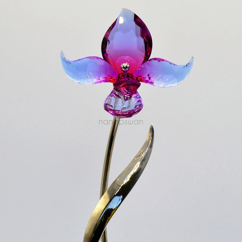 Swarovski Dorora Flower - Paradise Flowers - 681542 | N&P ...
