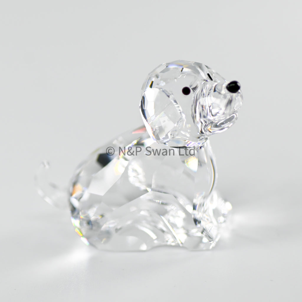 希少 ）SWAROVSKI「 Chinese Zodiac Dog 」廃盤品 特価セールショップ