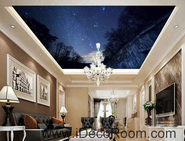 Forest Night Sky Starlight Wallpaper Wall Decals Wall Art Print