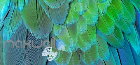 Graphic Design Of Multicolour Feathers Art Wall Murals Wallpaper Decal