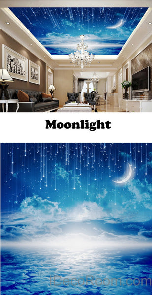 3d Moonlight Clouds Starry Night Ceiling Wall Mural Wall Paper