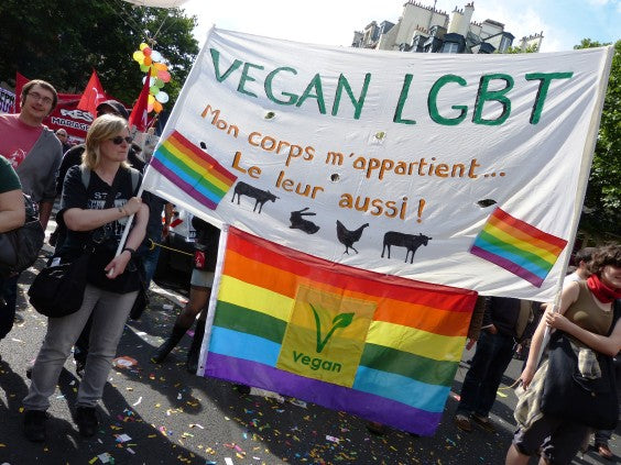gay vegan activism