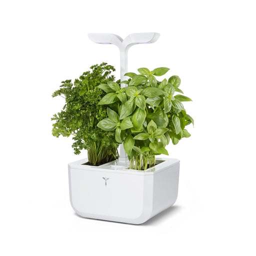 ORGANIC GARDEN CRESS LINGOT®, VERITABLE® GARDEN