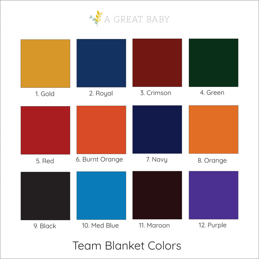 Band or Chorus Team Blanket - multiple colors