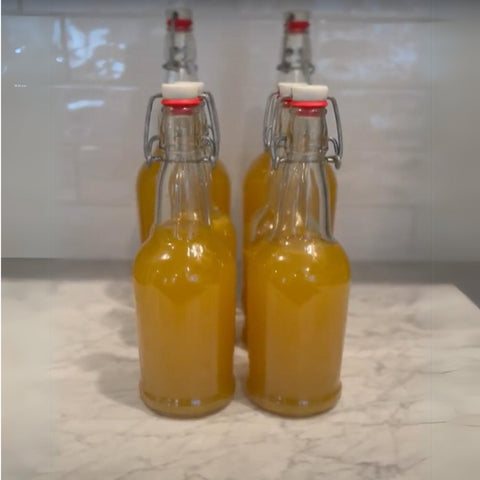 Homemade Kombucha