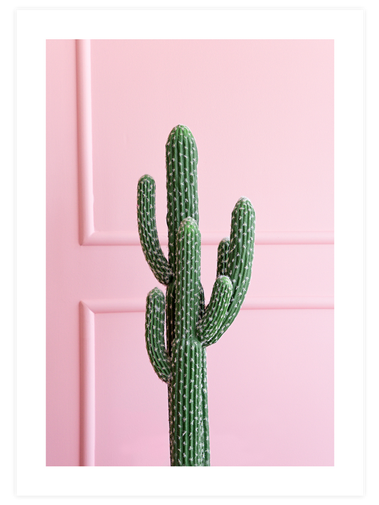 Chic Cactus - Fine Art Poster