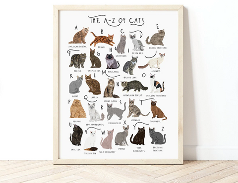A to Z of cats poster