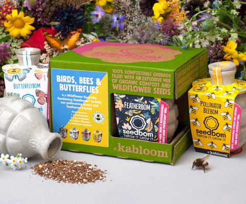 seed bomb gift box