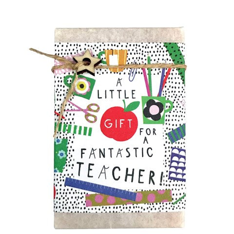 Fantastic Teacher soap bar from Edinburgh gift shop Pippin