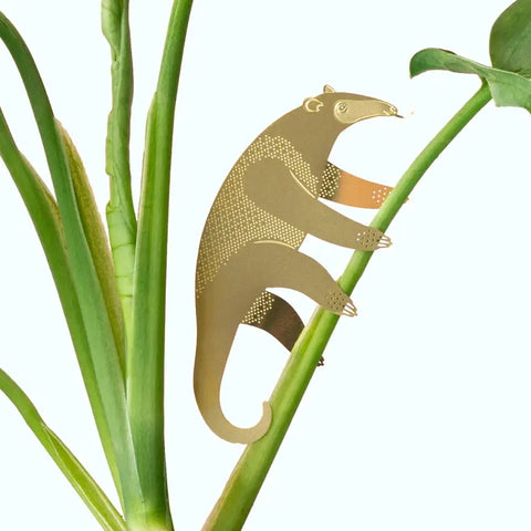 Anteater plant decoration from Edinburgh gift shop Pippin 