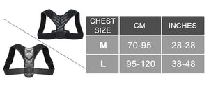 Posture Corrector & Back Brace Support for Women and Men - amandaramirezphoto