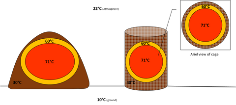 Diagram showing a cross sectioned thermophilic windrow (left) and a thermophilic cage with arial view (left). 