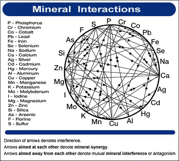 mulders chart mineral interactions Seacliff organics nz