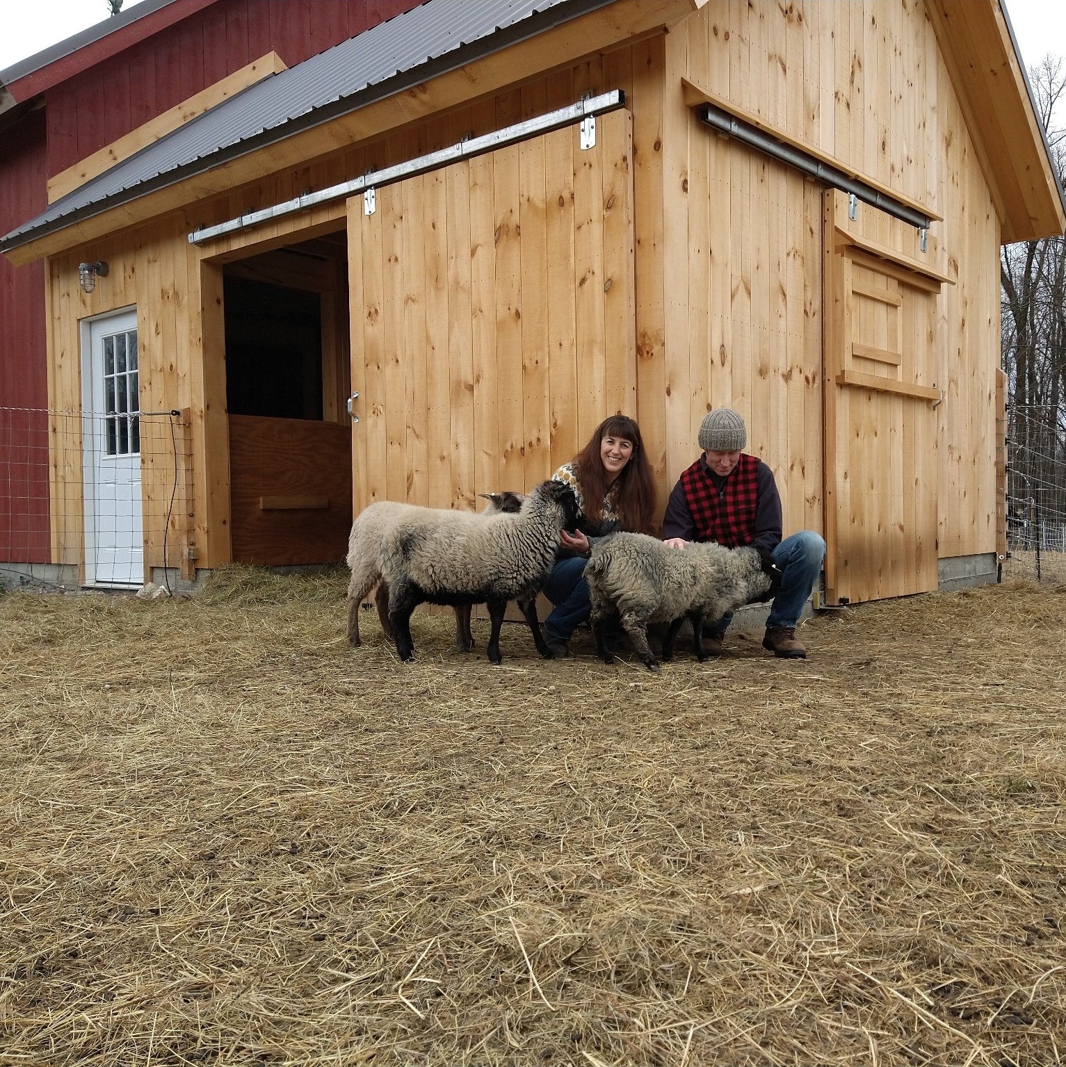 sheep barn