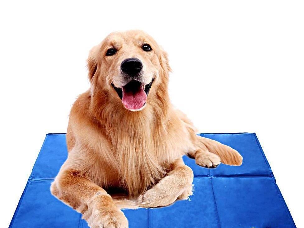 self cooling pet mat