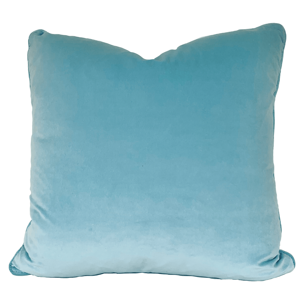 Dixie & Grace: Light Blue Versailles Velvet Throw Pillow No. 38