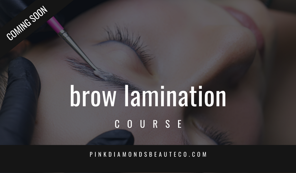 Brow Lamination Course-Pink Diamonds Beaute Co-Shawanna Watson