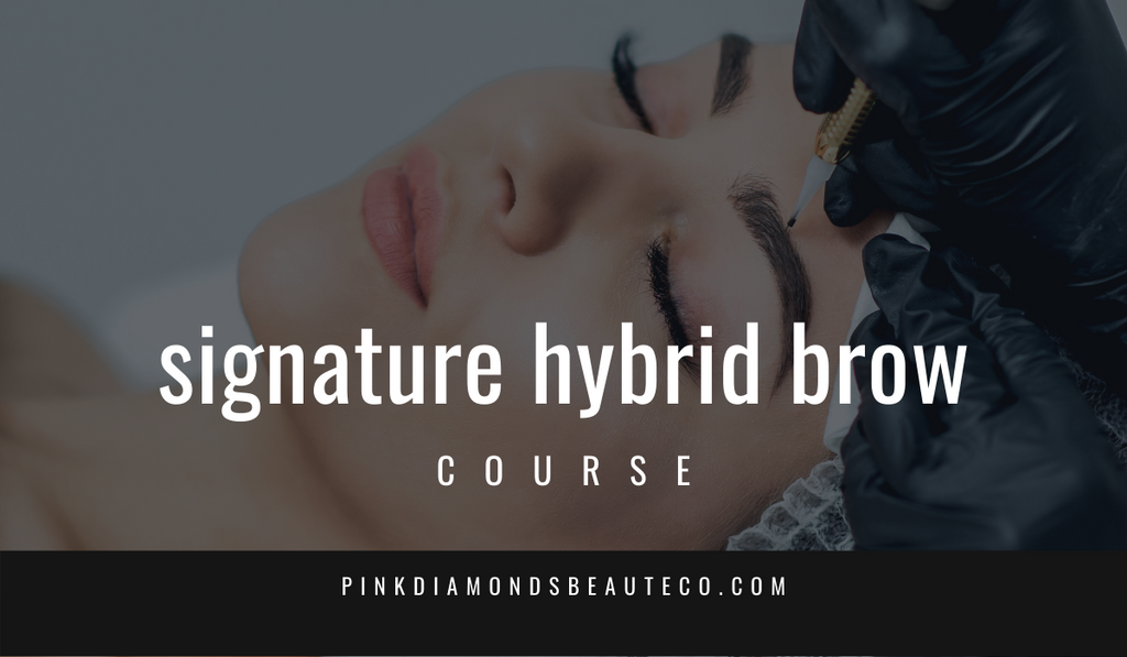 Signature Hybrid Brow Course-Pink Diamonds Beaute Co-Shawanna Watson