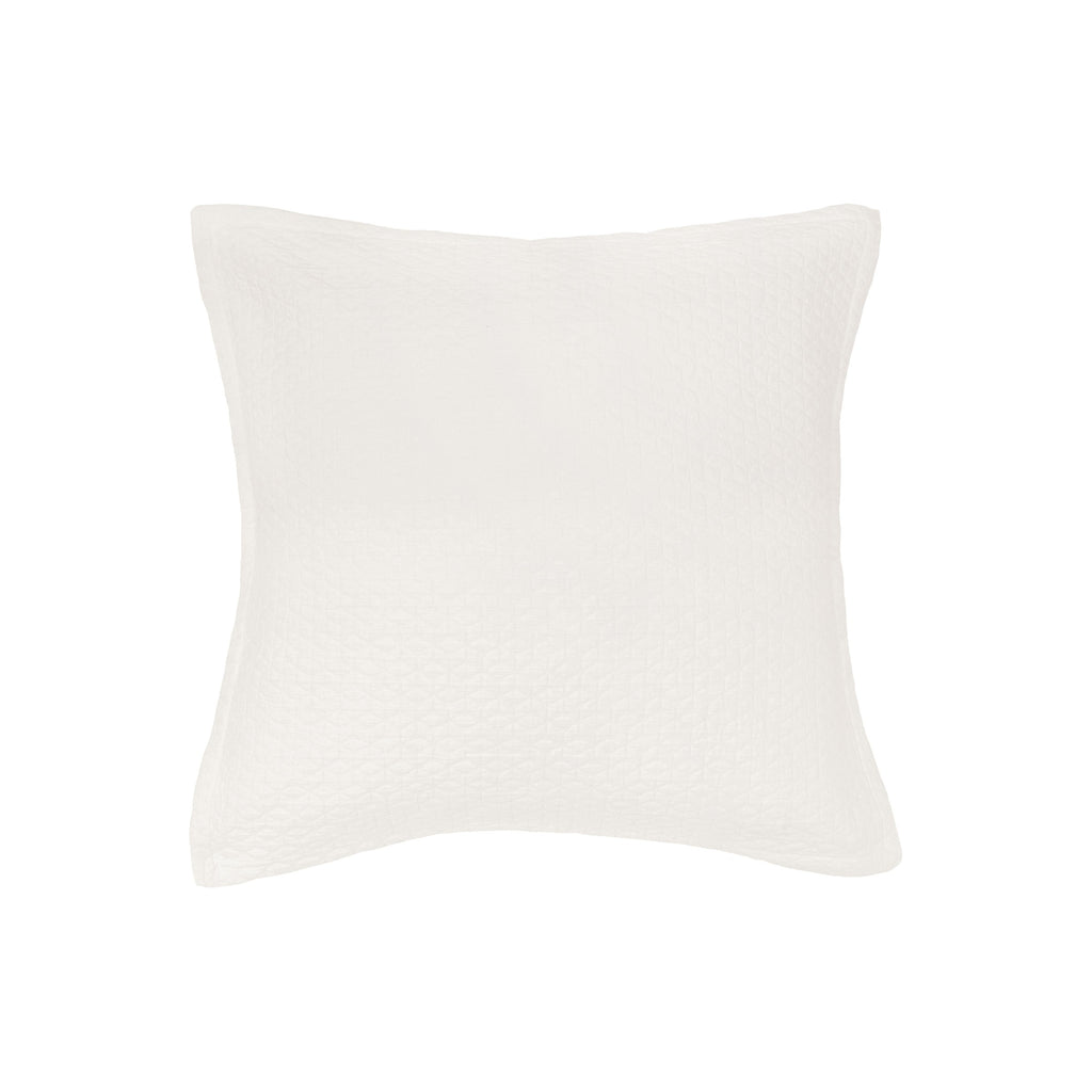 https://cdn.shopify.com/s/files/1/0278/9484/1389/products/Pernille_Ivory_Euro_Sham-pernille-ivory-euro-sham_1024x1024.jpg?v=1622831177