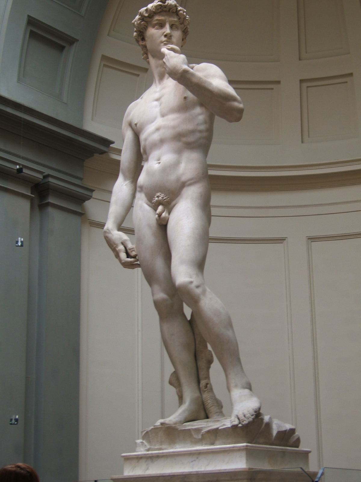 Il David di Michelangelo