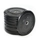 Swiss Rubber Coated Bumper Plates