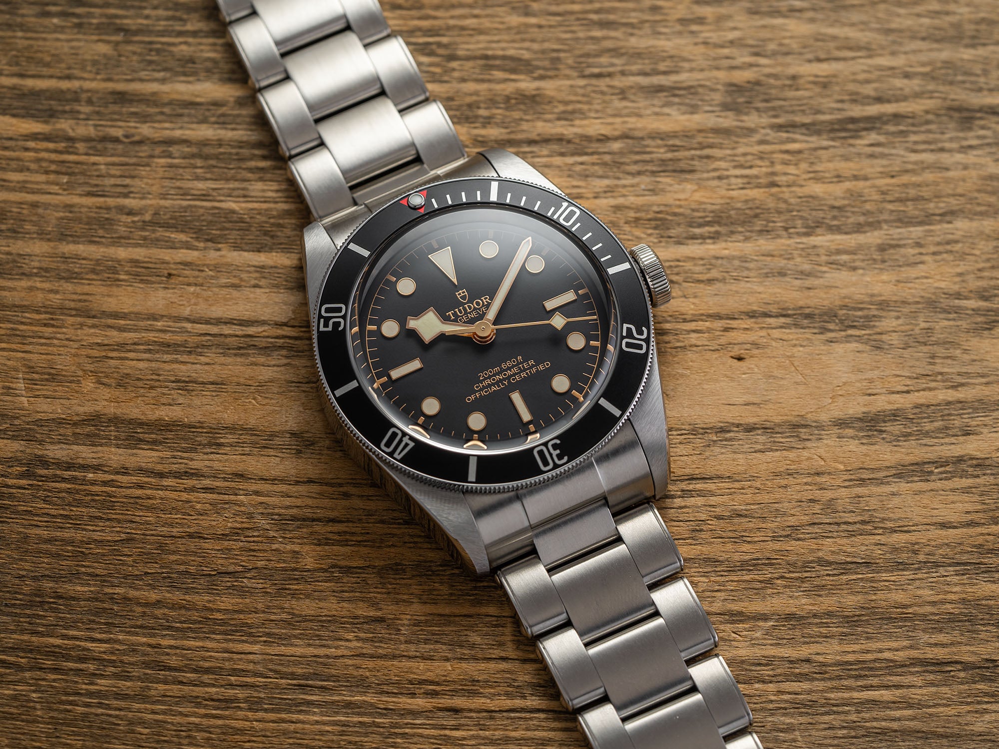 Tudor Black Bay