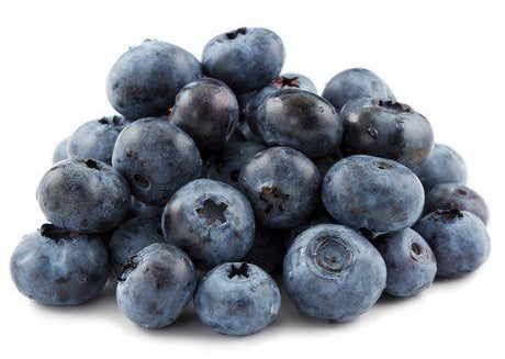 Blueberries | Creeds