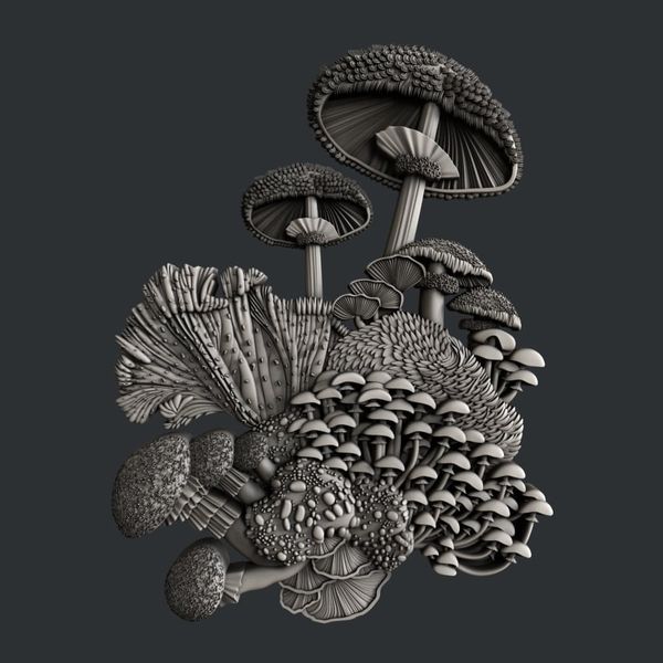 Fairyland Mushrooms Silicone Mould